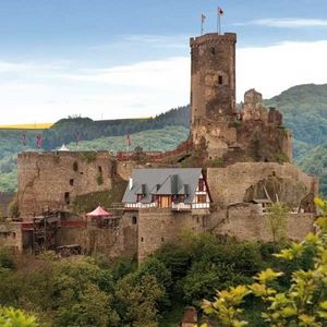 Ehrenburg-300x300jpg.jpg